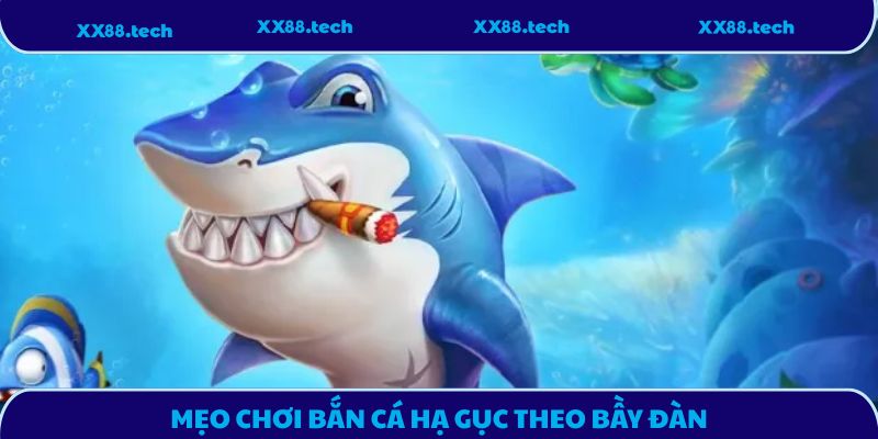Mẹo chơi bắn cá hạ gục theo bầy đàn